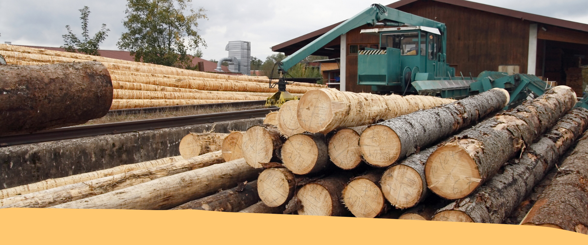 biomassa legnosa artigiani Trentino