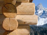 17 maggio: convegno internazionale sul legno