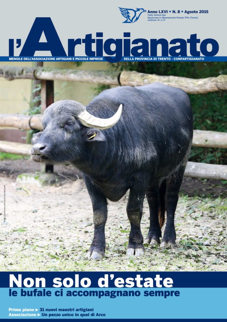 Non solo d’estate