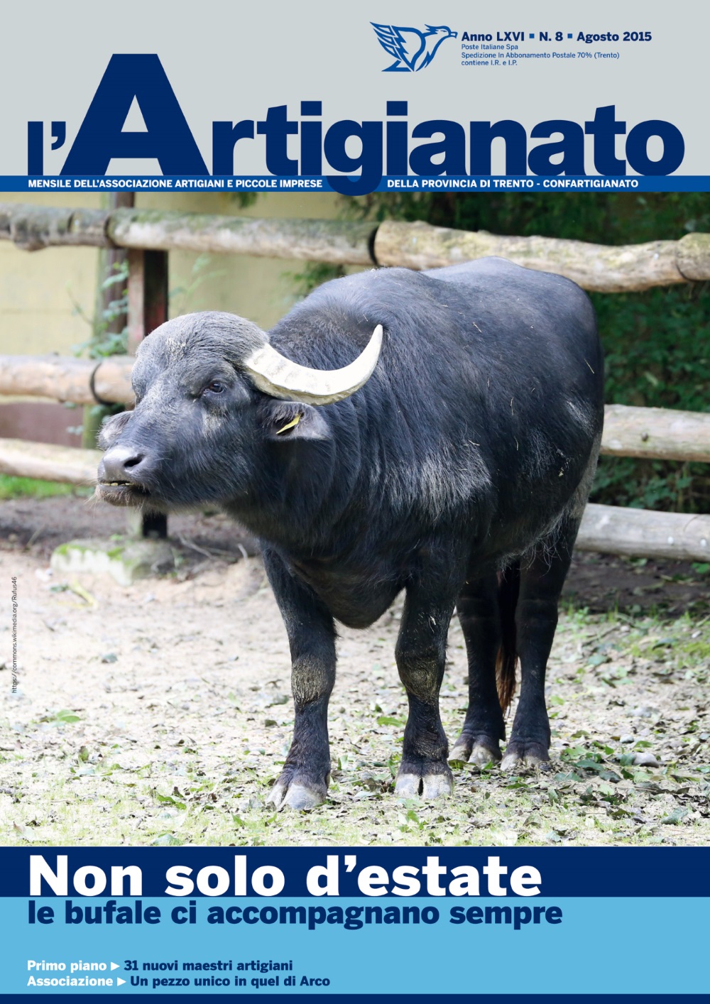 Non solo d’estate