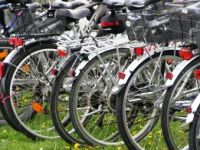 30 agosto: Pedalando in Rotaliana