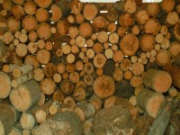 Legno: materiale antico per il benessere di oggi