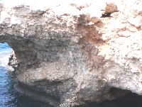 Terre e rocce da scavo: nuova delibera provinciale