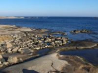 Tutela dell’ambiente: modifiche al T.U.L.P.