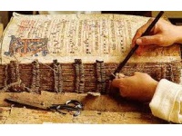 Approvate le linee guida applicative dell’art.182