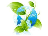 Dichiarazione sui gas fluorurati ad effetto serra ex articolo 16 del DPR n. 43/2012