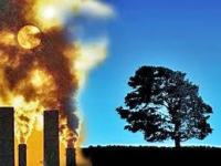 Emissioni in atmosfera: rinnovo delle autorizzazioni