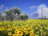 Importanti momenti di confronto per il settore legno a Progetto Fuoco Verona