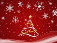 “Natale a Castello”: mercatino di Natale 2012 a Mezzolombardo