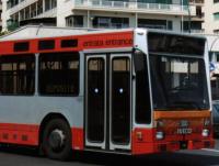 Trasporto: qualificazione del conducente