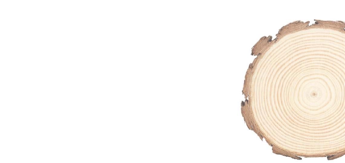 Certificazione della catena di custodia FSC