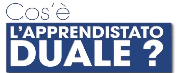 APPRENDISTATO DUALE: FAI CRESCERE UN GIOVANE ALL’INTERNO DELLA TUA AZIENDA!