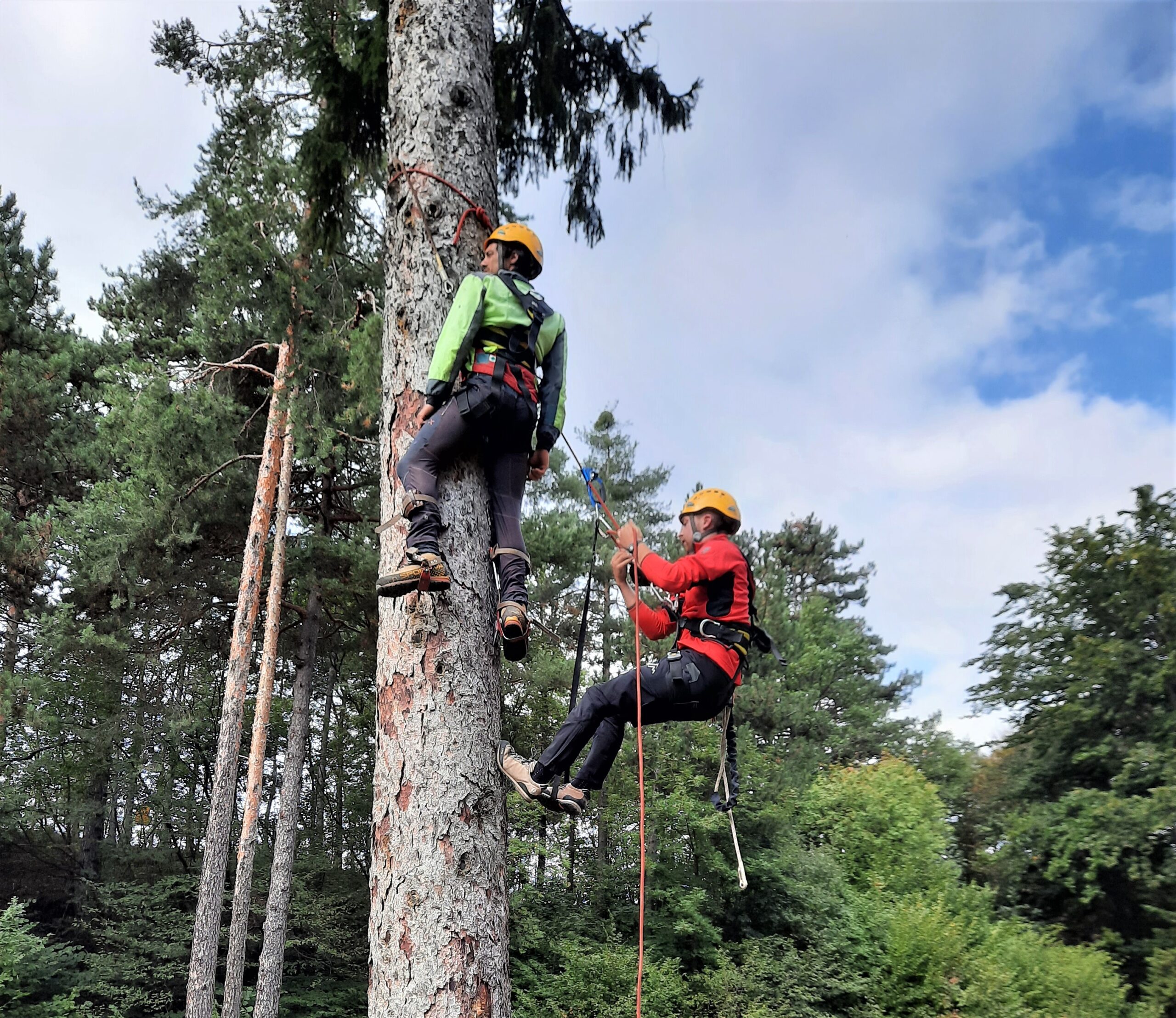 Corso di Tree climbing: terminate le prime edizioni