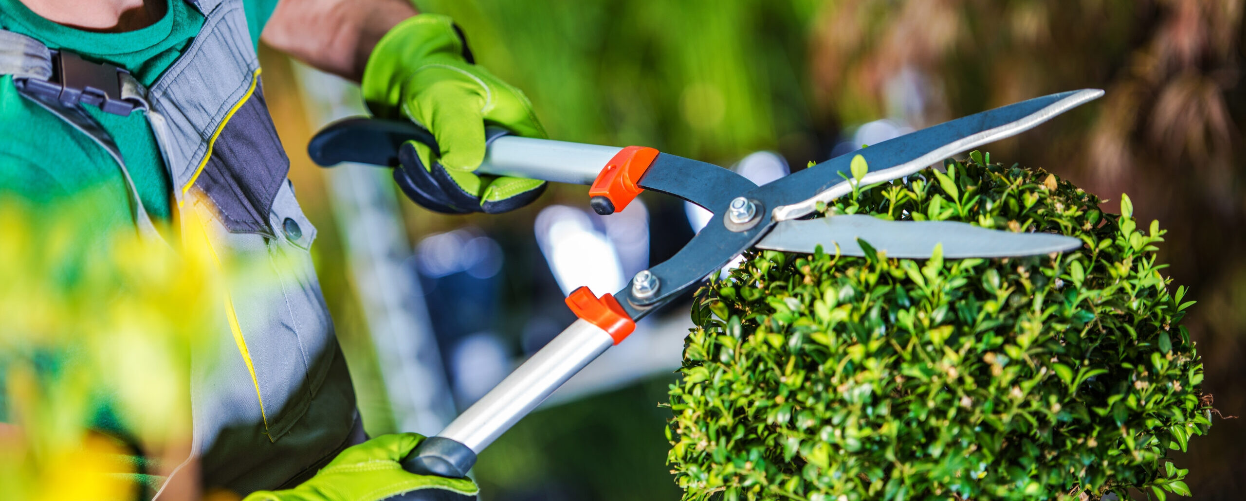 Corso di abilitazione per Manutentore del verde