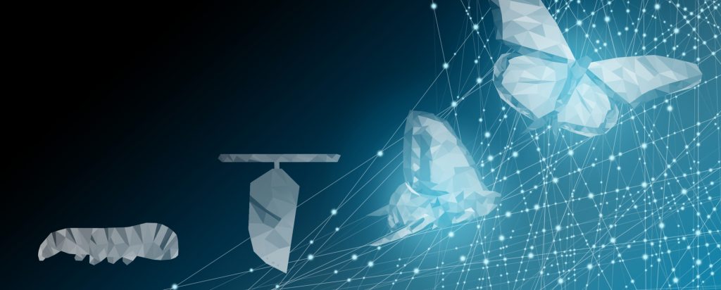 Digital Transformation e sostenibilità al servizio delle imprese