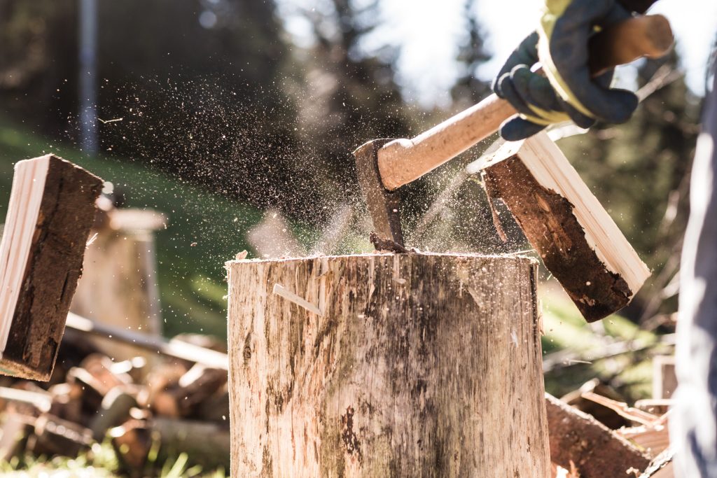 Aperto il Bando PSR per acquisto di attrezzature forestali