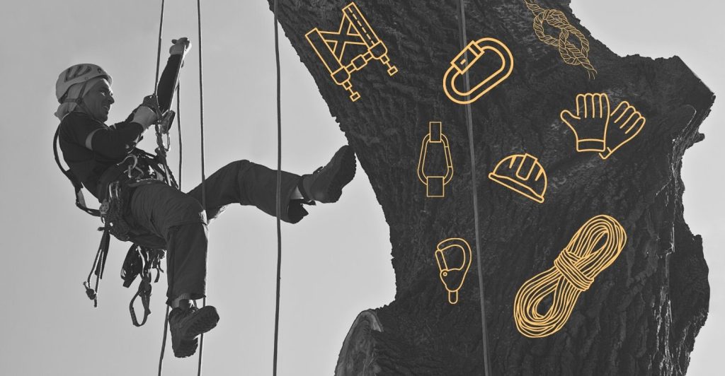 Corso di Tree Climbing e lavori in quota su fune: ultimi due posti disponibili