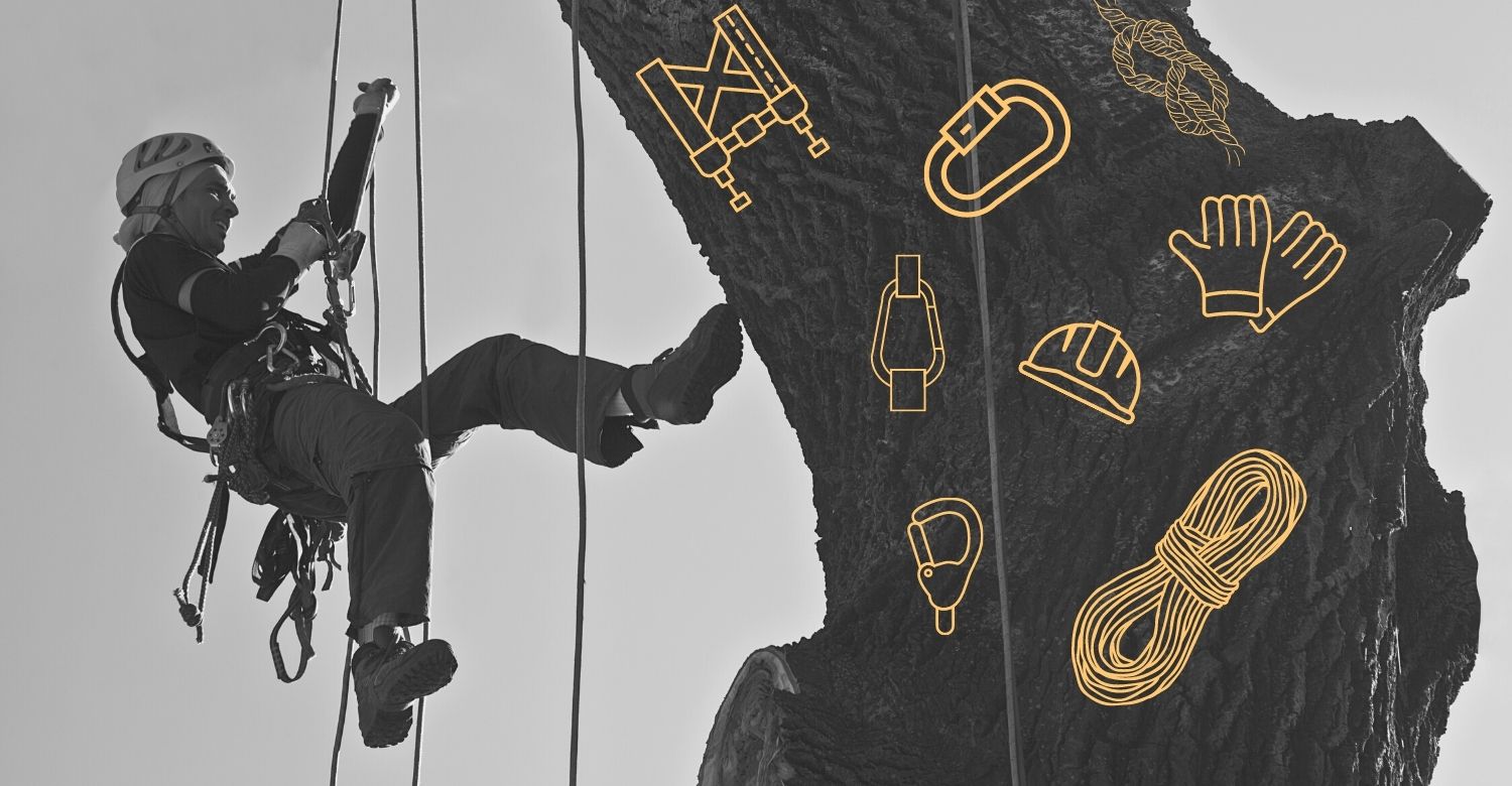 Corso “Tree climbing e lavori in quota”