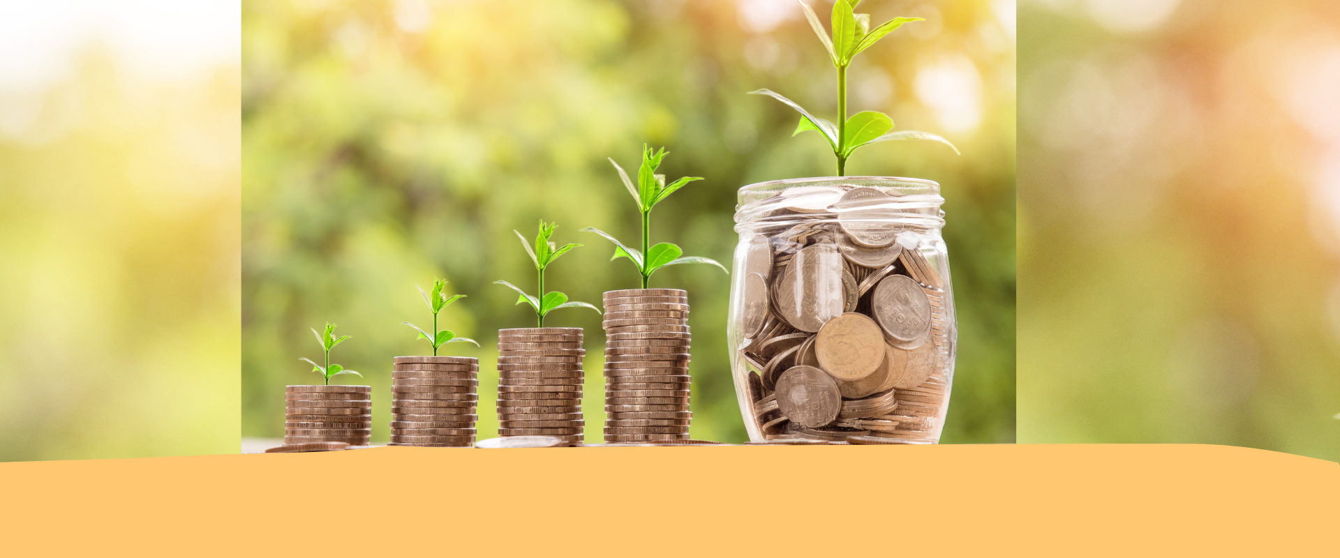 PAE: al via un ciclo di webinar per i giovani che vogliono vedere lontano