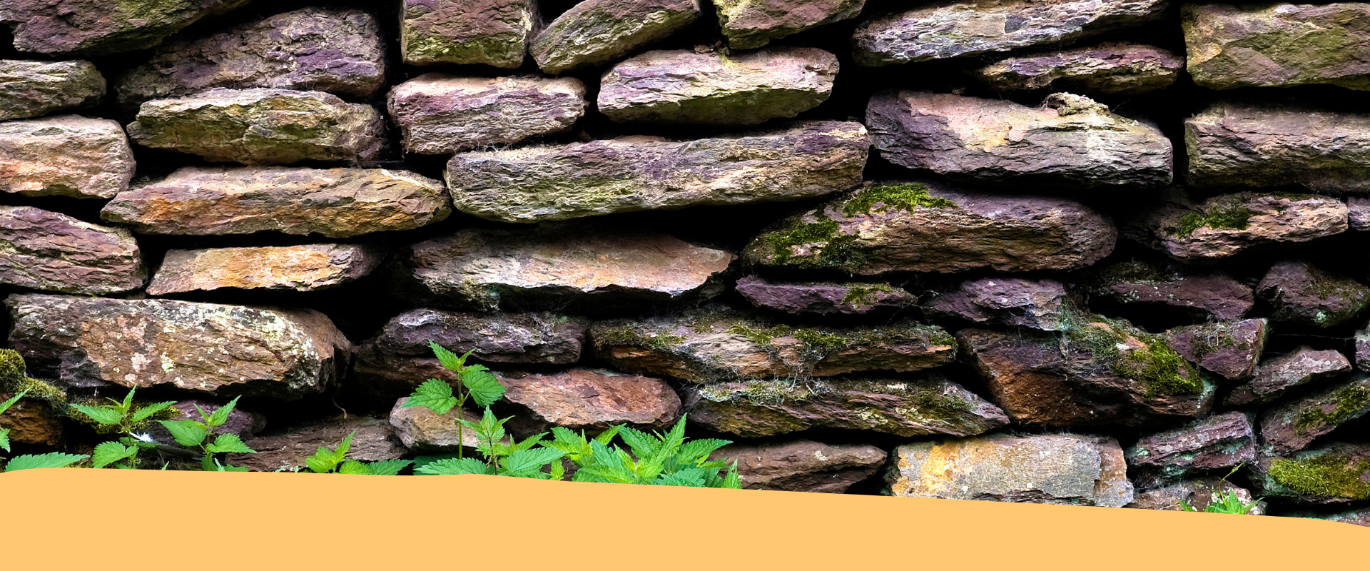 Corso sui Muri a secco in Alta Valsugana