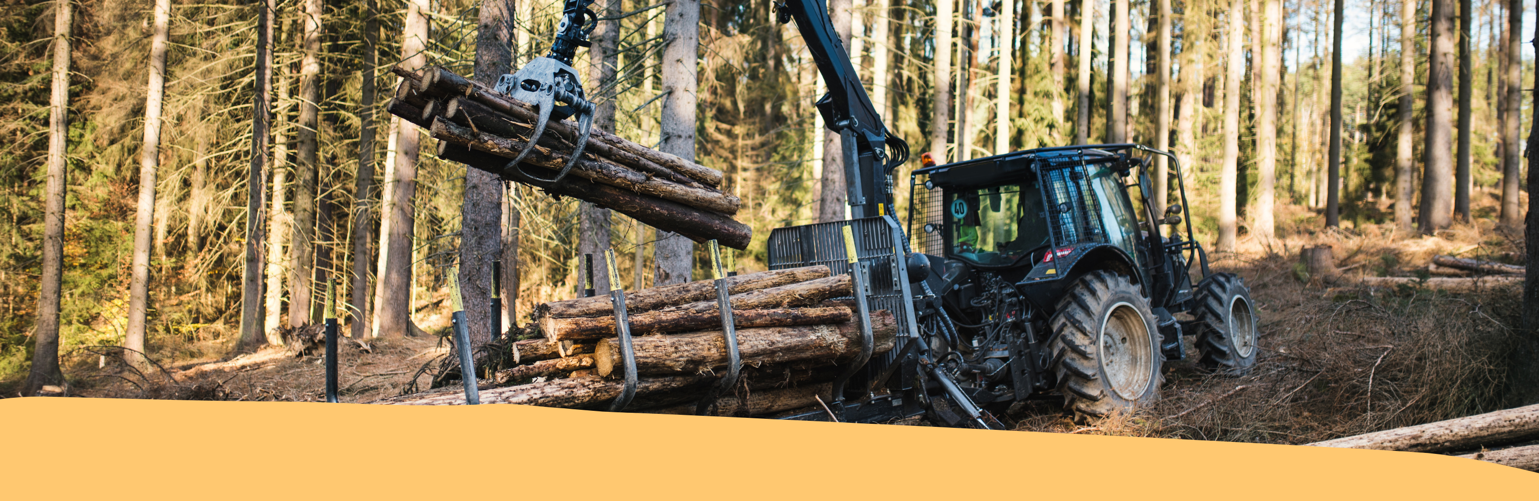 Elenco provinciale delle imprese forestali