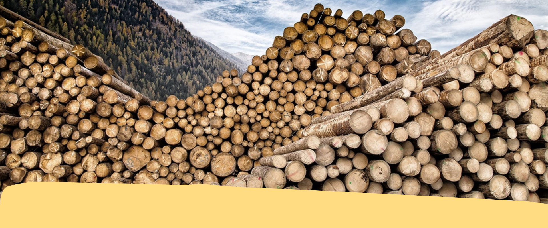 Imprese boschive: 11/09 seconda Assemblea nazionale