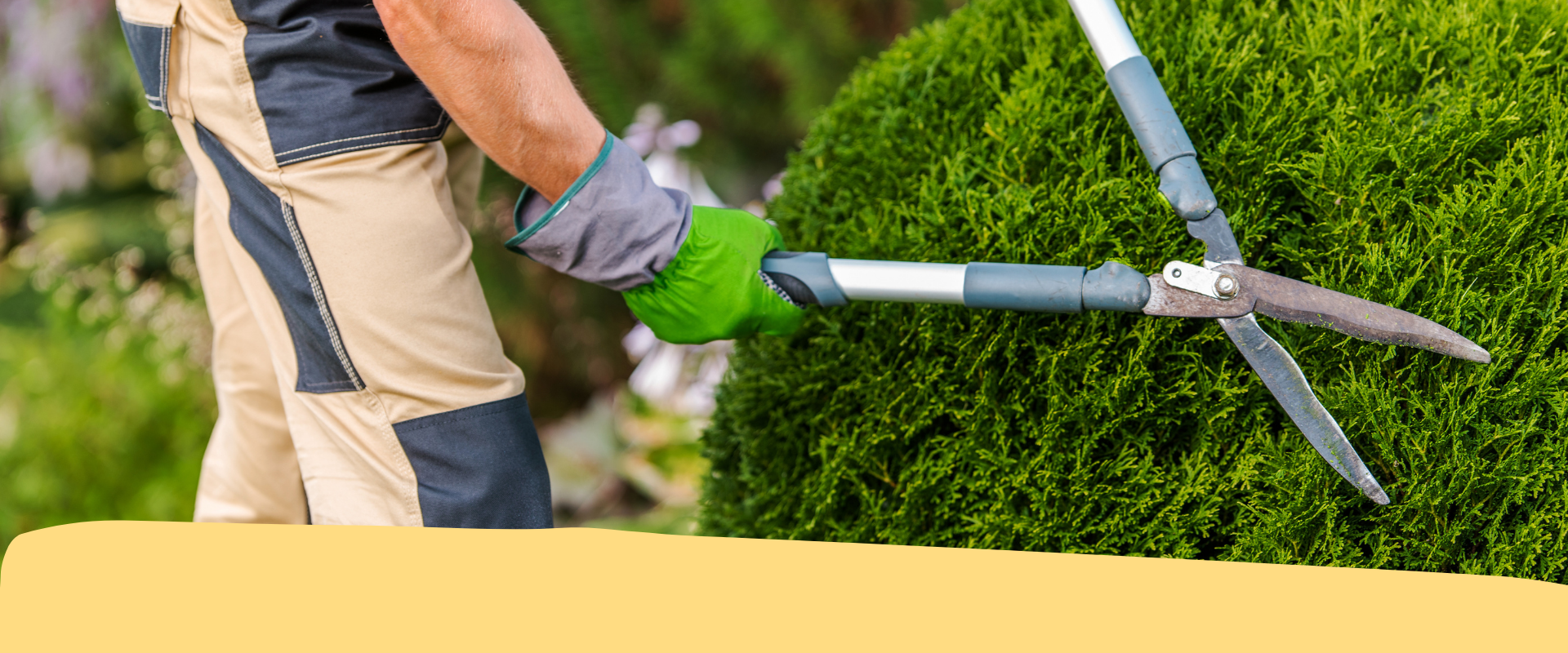 Sfalci e potature: cambia la normativa