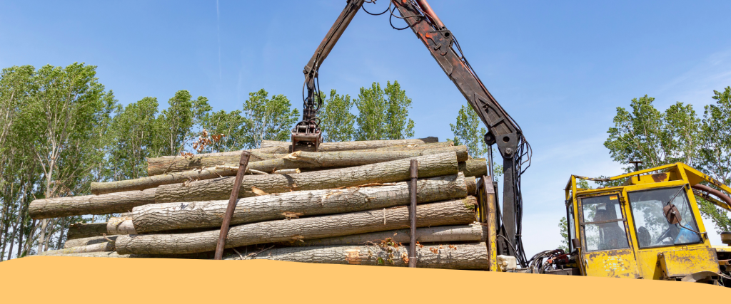 Acquisto di mezzi ed attrezzature forestali: scopri il bando per il contributo