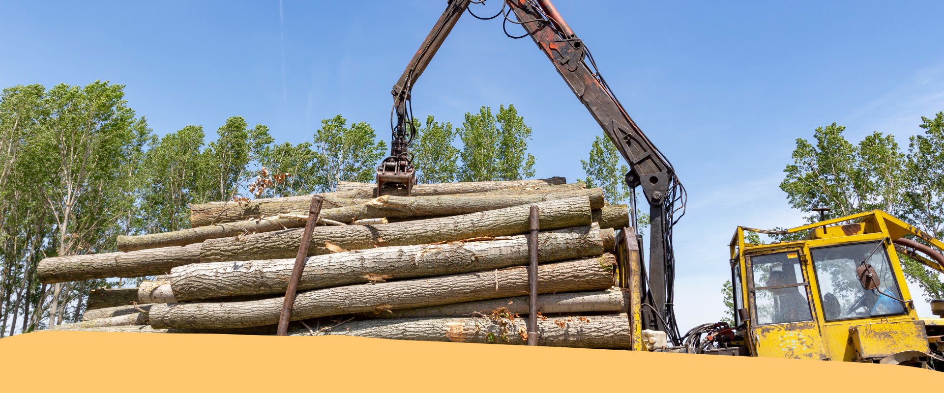 Acquisto di mezzi ed attrezzature forestali: scopri il bando per il contributo