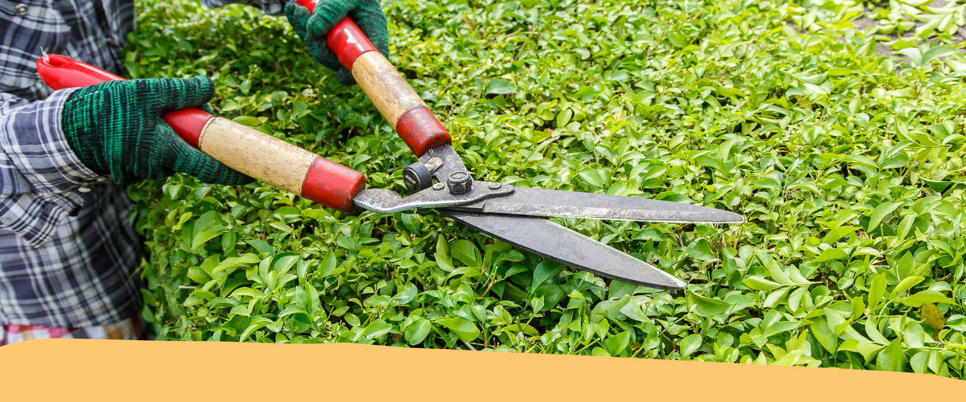 Manutentore del Verde: dal 25 febbraio al via il corso alla Fondazione Mach