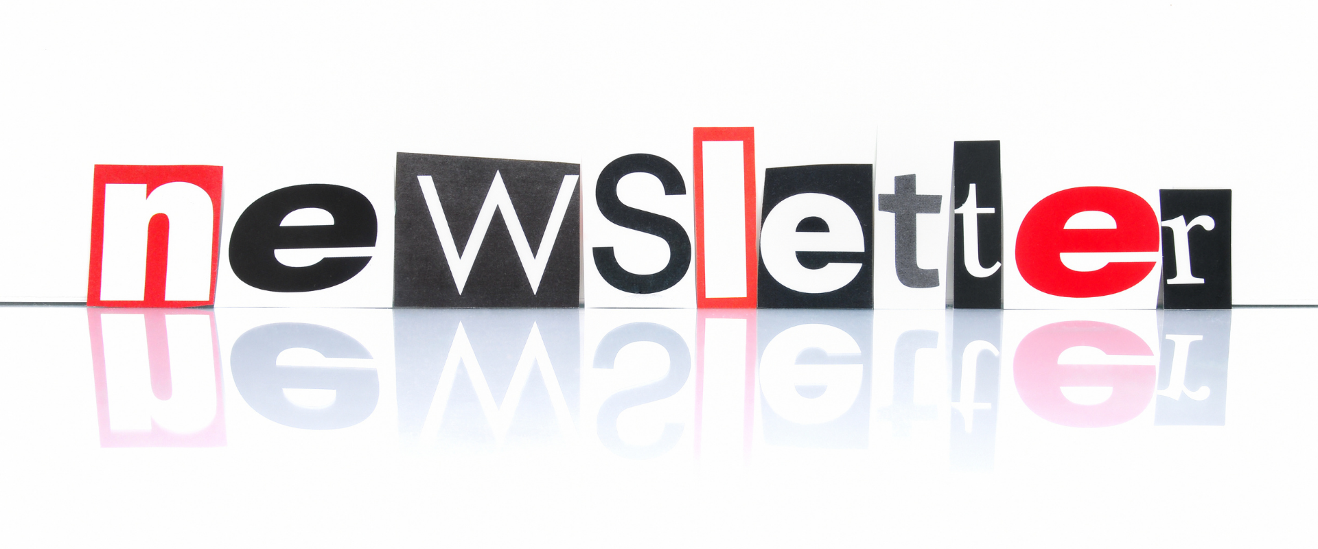 Tutte le Newsletter della categoria Pittori Edili