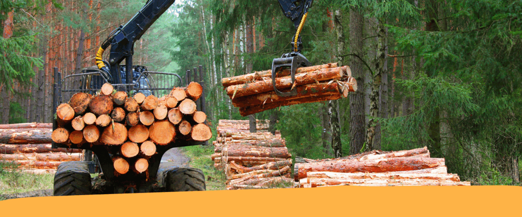 Meccanizzazione delle imprese forestali, nuovi incentivi dalla Provincia
