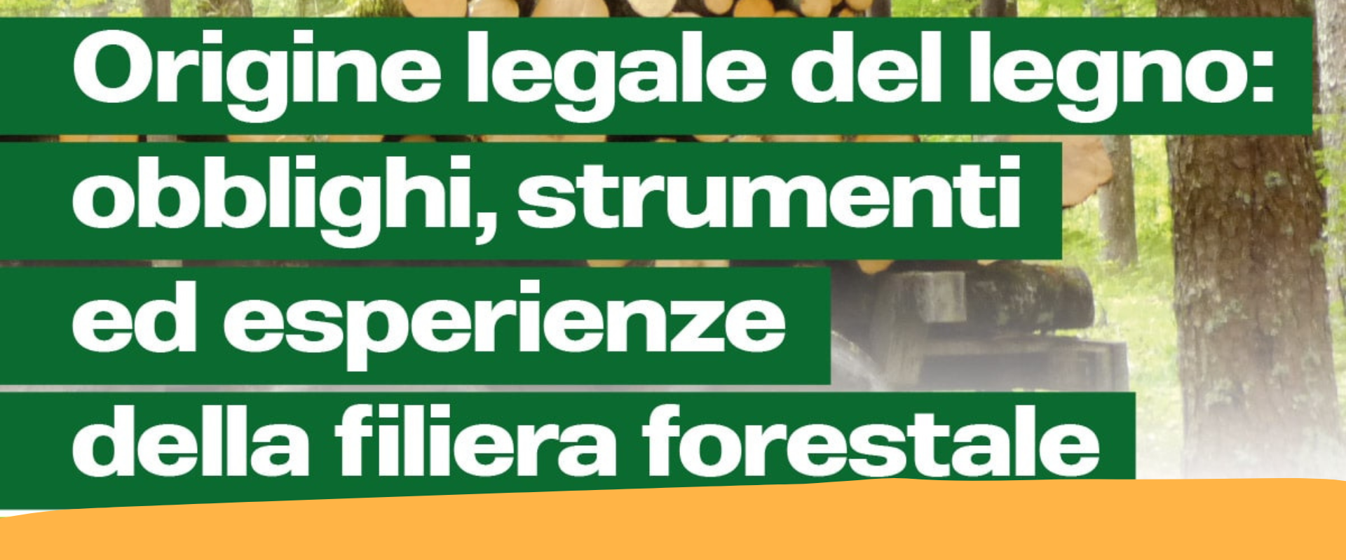 Seminario “Origine legale del legno: obblighi, strumenti ed esperienze della filiera forestale”