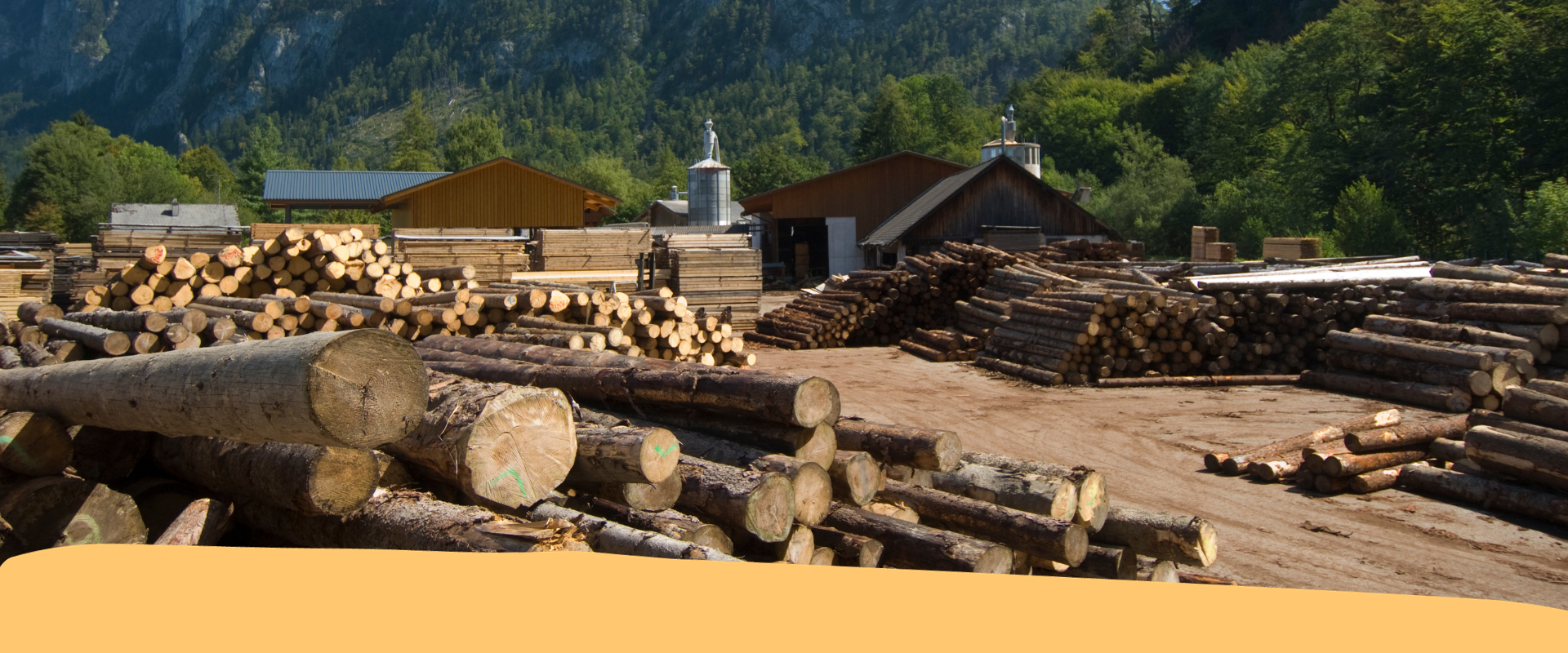 Assemblea imprese boschive