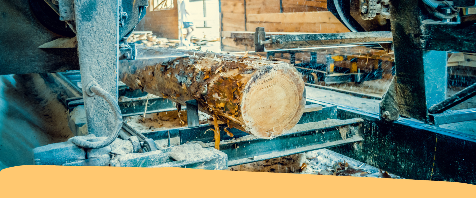 Assemblea segherie e imballaggisti