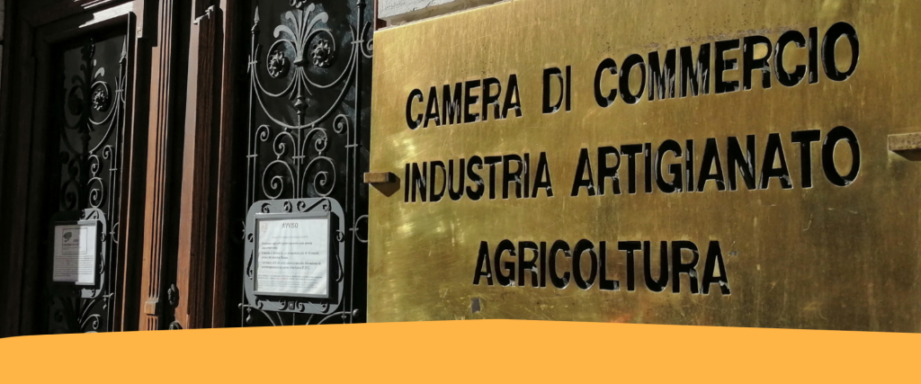I bandi 2024 della Camera di Commercio: ESG e digitale, efficienza energetica, alternanza scuola lavoro e formazione professionale
