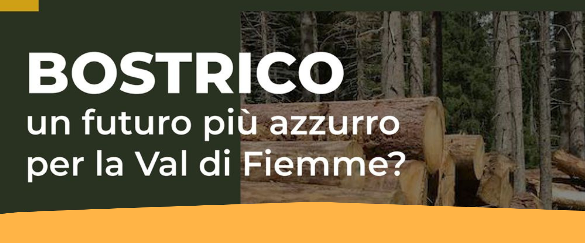 Legno bostricato, caratteristiche e impieghi: il 30 aprile un incontro a Predazzo