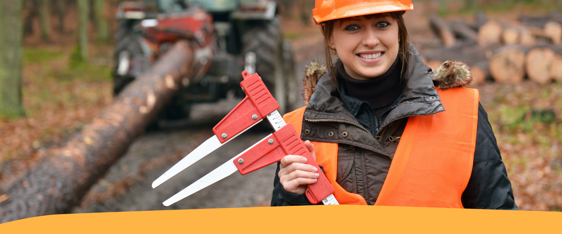 Nuove regole per il commercio del legno: cosa cambia con l’EUDR (Webinar)