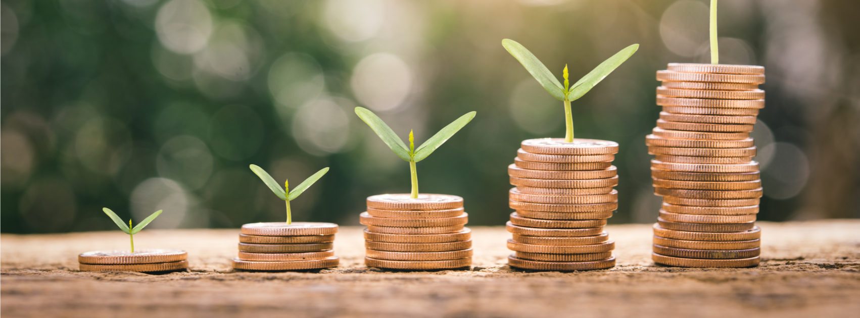 Agevolazioni e contributi pubblici