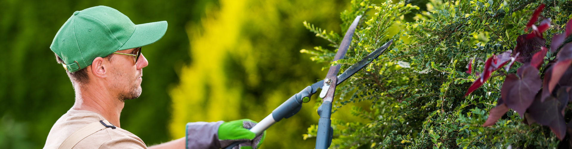 Giardinieri paesaggisti