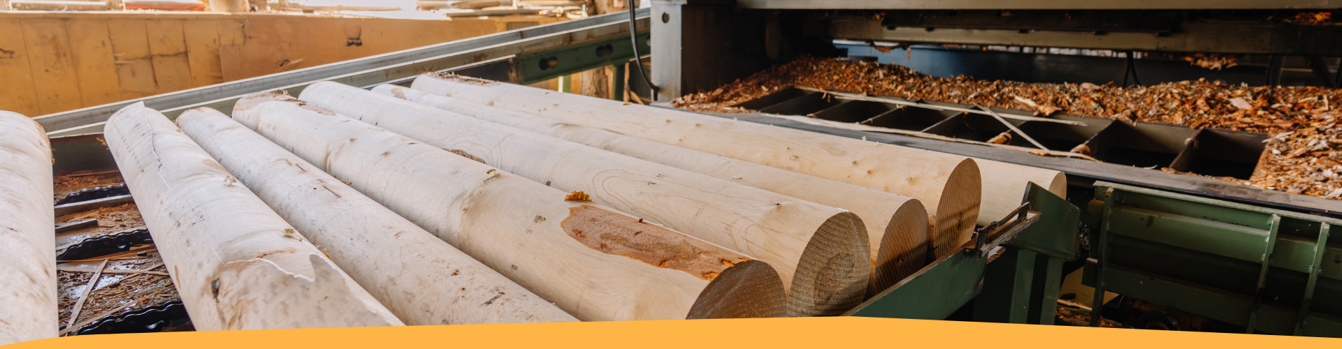 Trento: sicurezza nelle imprese di imballaggi in legno (nuove linee di indirizzo UOPSAL)