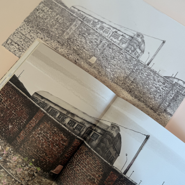 Illustrazioni Noi siamo qui