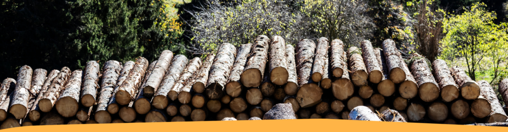 INTERFORST 2026: un’opportunità internazionale per le imprese del settore forestale