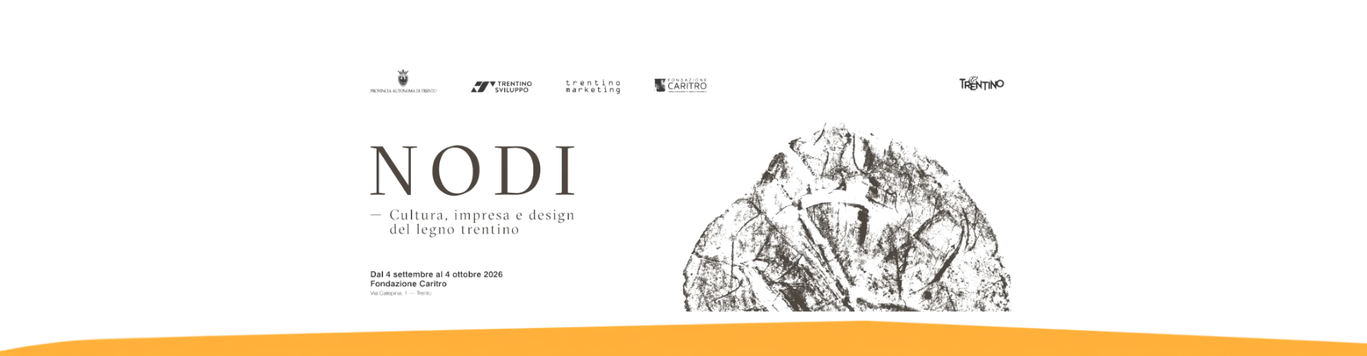 Progetto NODI – 17 settembre: Il restauro del legno (Francesca Raffaelli)