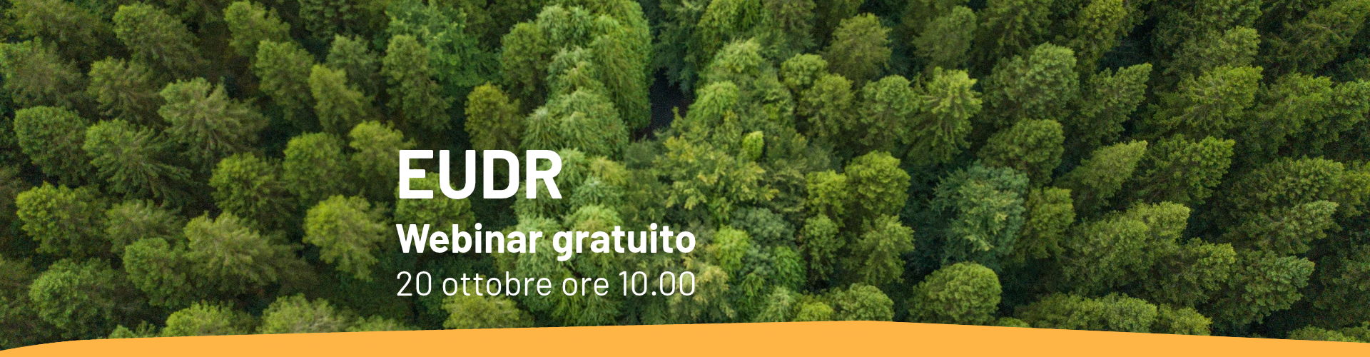Webinar gratuito: come conformarsi all’EUDR